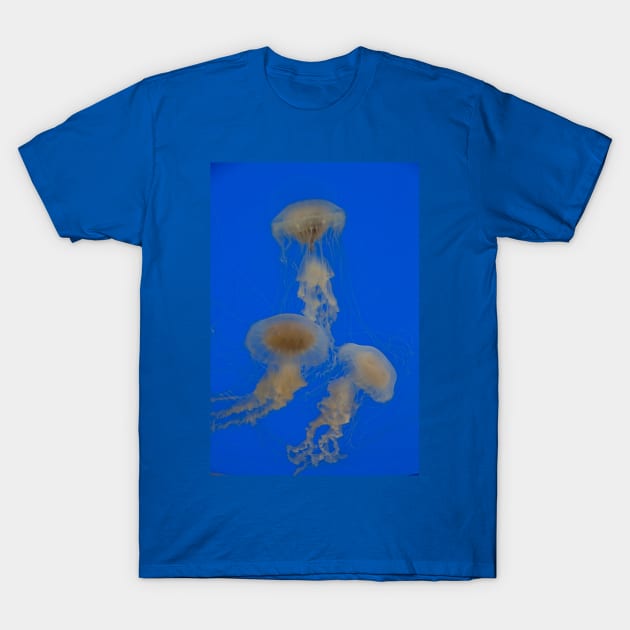 Jellyfish Dance. Aquarium of Xcaret. T-Shirt by vadim19
